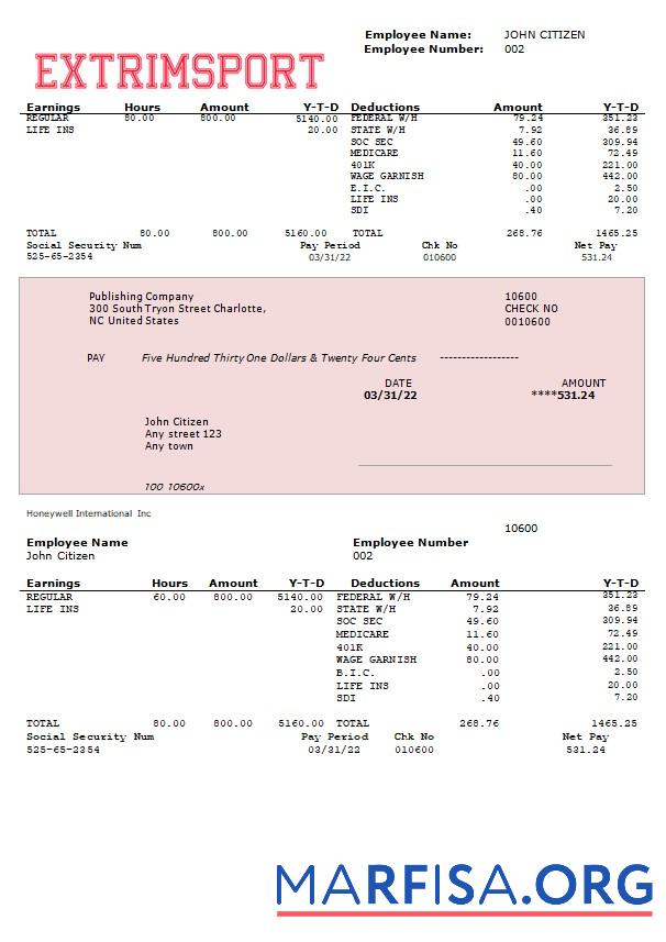 Downloadable Extrim sport company fully editable earning statement sample